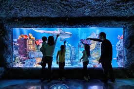 SEA LIFE New Jersey Aquarium